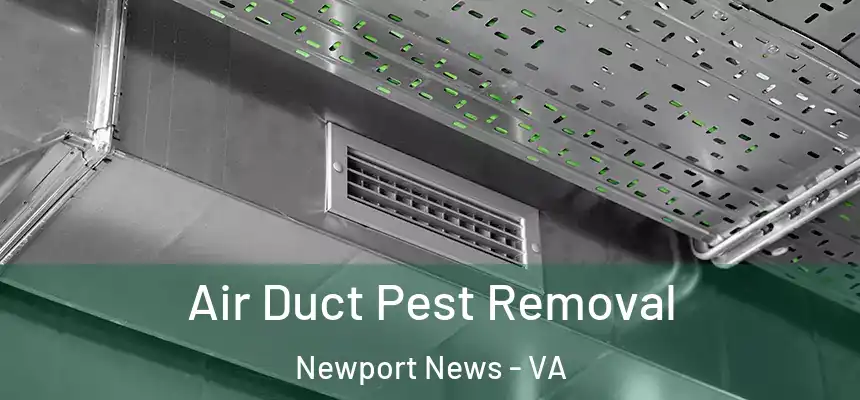 Air Duct Pest Removal Newport News - VA