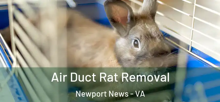 Air Duct Rat Removal Newport News - VA