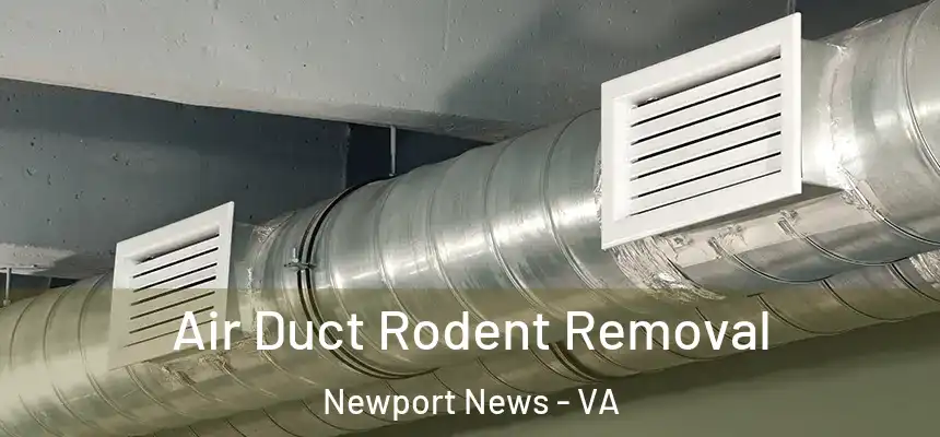 Air Duct Rodent Removal Newport News - VA