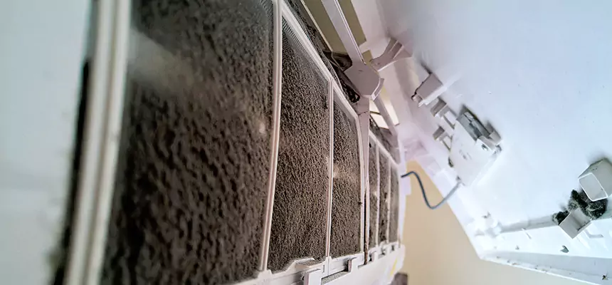 Preventive Air Duct Bacteria Removal in Newport News