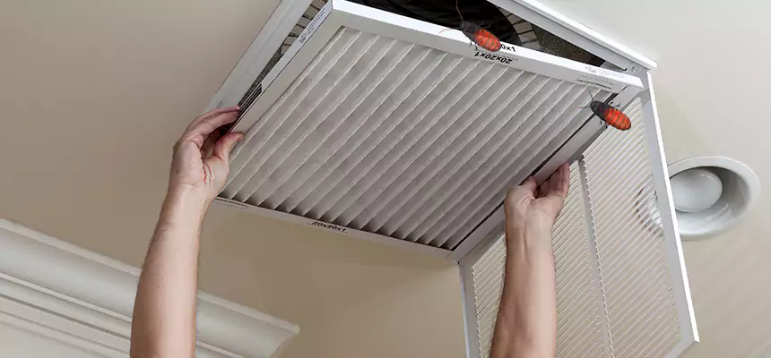 Preventive Cockroach-Proofing for Ducts in Newport News