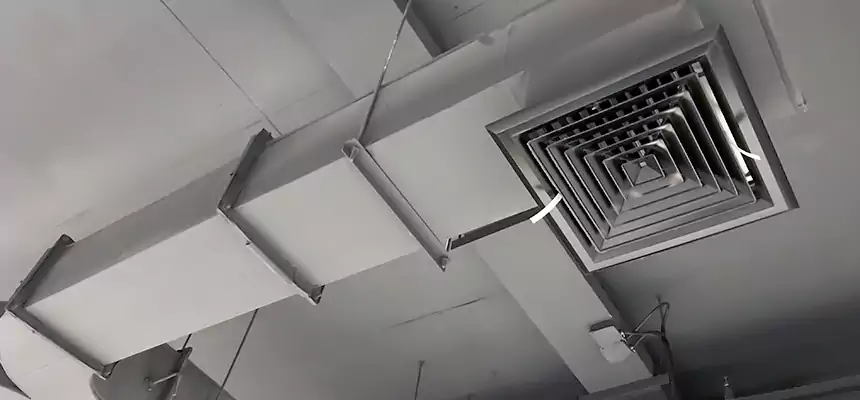 Restorative Allergy Relief Vent Cleaning – Coil, Blower & Housing Detail in Newport News