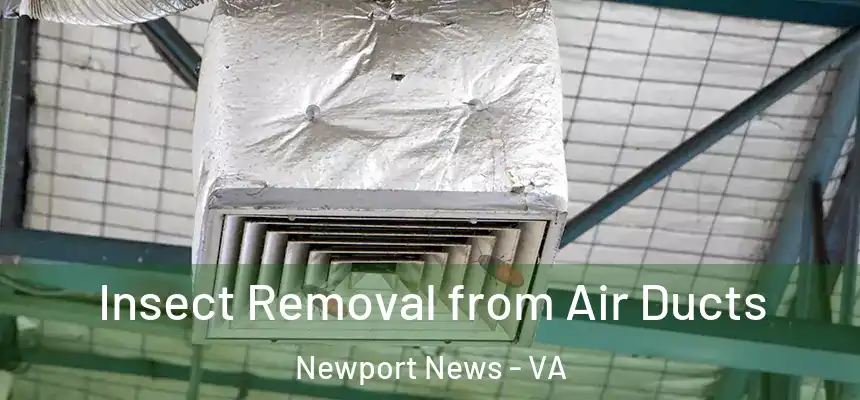 Insect Removal from Air Ducts Newport News - VA
