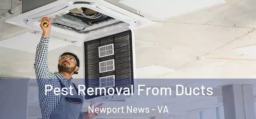 Pest Removal From Ducts Newport News - VA