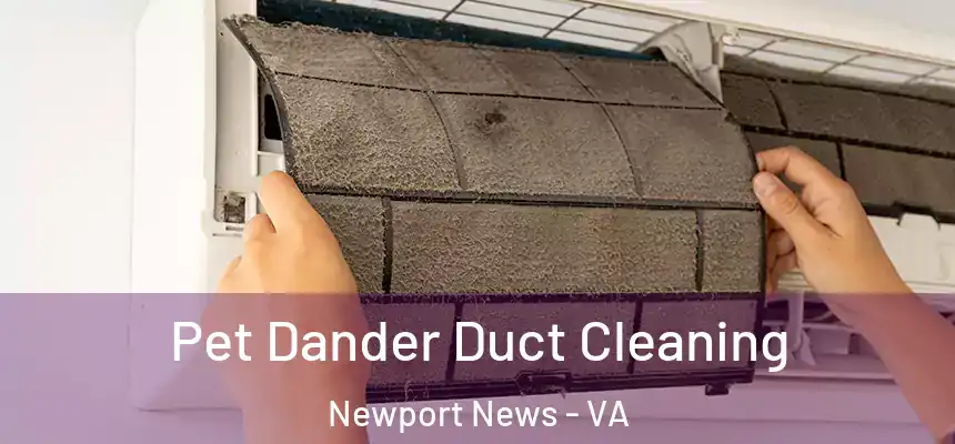 Pet Dander Duct Cleaning Newport News - VA