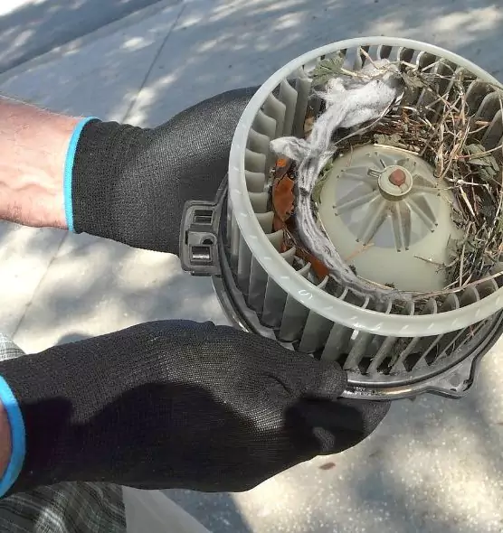 About Air Duct Mice Removal in Newport News, VA