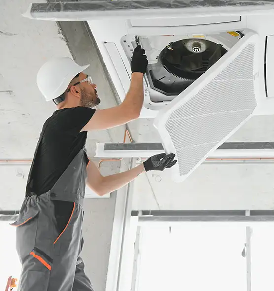 About Air Duct Rodent Removal in Newport News, VA