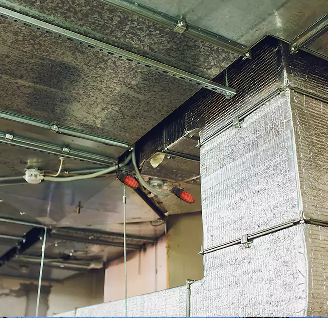 Why Homeowners & Businesses Trust Us in Newport News, VA?