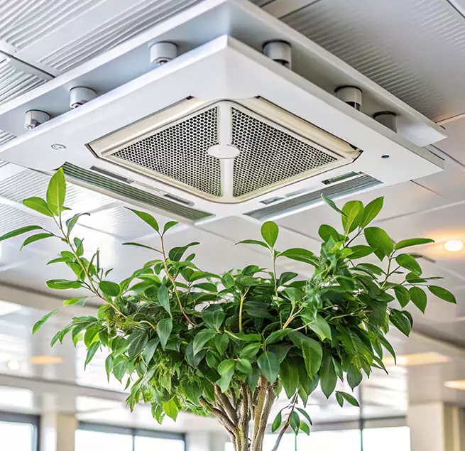 Why Homeowners & Businesses Trust Us in Newport News, VA?