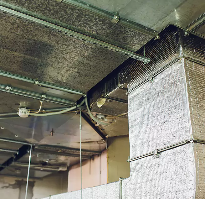 Why Homeowners & Businesses Trust Us in Newport News, VA?